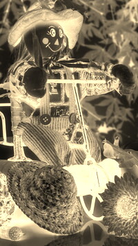 Sepia + Negatyw