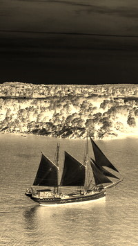 Sepia + Negatyw