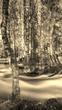 Szary + Sepia