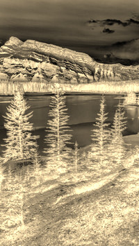 Sepia + Negatyw