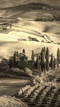 Szary + Sepia