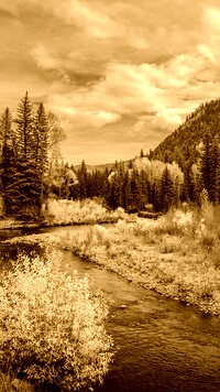 Sepia