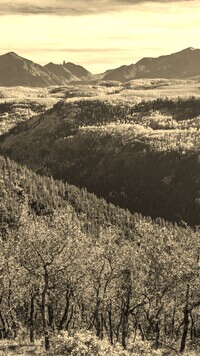 Szary + Sepia
