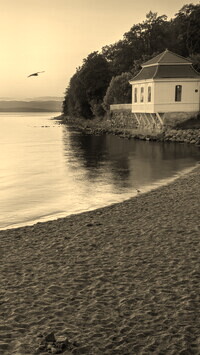 Szary + Sepia