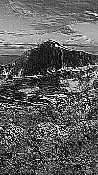 Skamielina