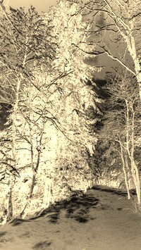 Sepia + Negatyw
