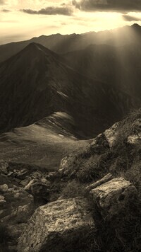 Sepia
