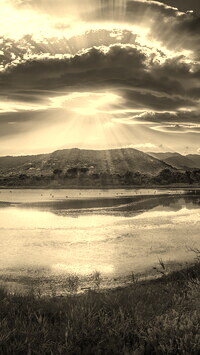 Sepia