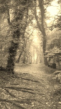 Szary + Sepia