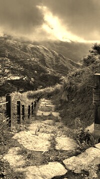 Sepia