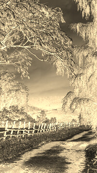 Sepia + Negatyw