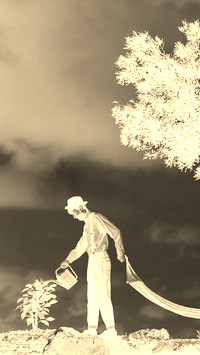 Sepia + Negatyw
