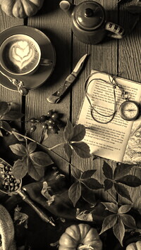 Szary + Sepia