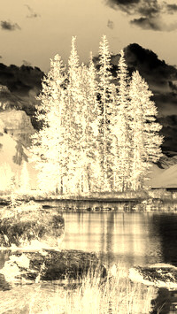 Sepia + Negatyw