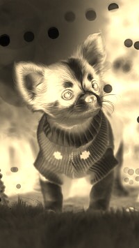 Sepia + Negatyw