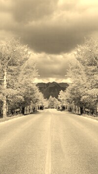 Sepia