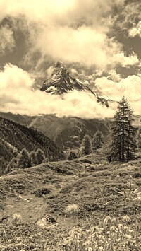 Sepia