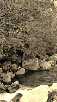 Sepia