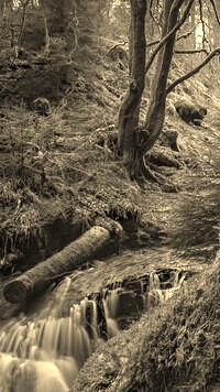 Szary + Sepia