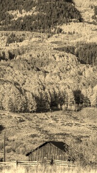 Szary + Sepia