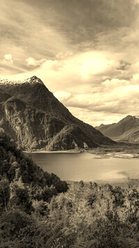 Szary + Sepia