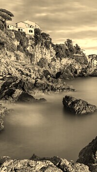 Sepia