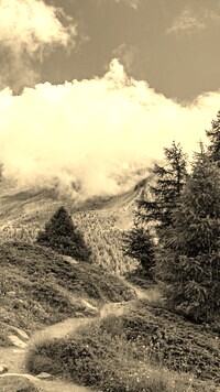 Szary + Sepia