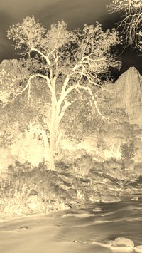Sepia + Negatyw