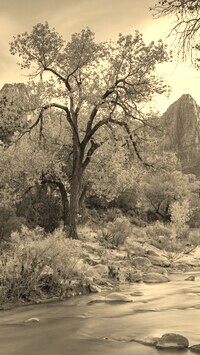 Szary + Sepia