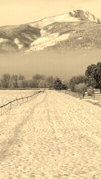 Szary + Sepia