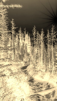Sepia + Negatyw