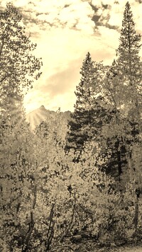 Szary + Sepia
