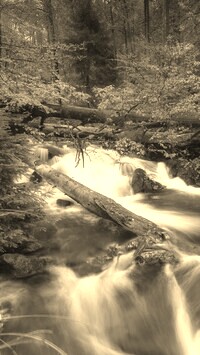Szary + Sepia