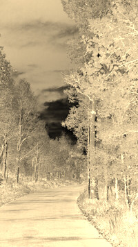 Sepia + Negatyw