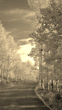Szary + Sepia