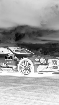 Szary + Negatyw