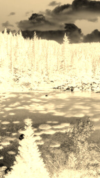 Sepia + Negatyw
