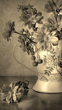 Szary + Sepia
