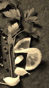 Szary + Sepia