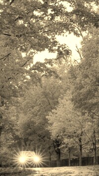 Szary + Sepia