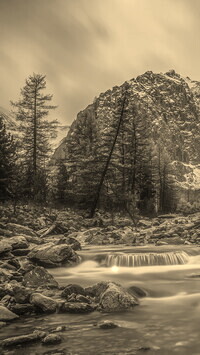 Szary + Sepia