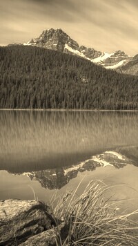 Szary + Sepia
