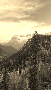 Szary + Sepia