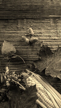 Szary + Sepia