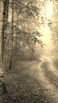 Szary + Sepia