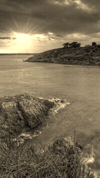 Sepia
