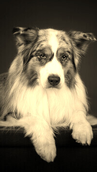 Sepia