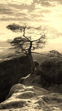 Szary + Sepia