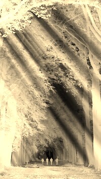 Sepia + Negatyw