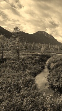 Sepia